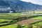 wet rice fields and tea plantation in Chengyang