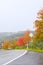 wet road with autumn trees in the Eifel