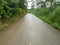 Wet Road and nature