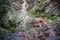 Wet rocks with red and yellow colours surrounded by vegetation in Devesa de Rogieira in the Serra do Courel in Lugo, Galicia Spain