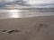 Wet sand barefoot prints stormy Gulf coast beach