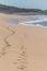 A wet sand, the brazilian atlantic ocean is foamy, a zigzag of human footprint in the sand make a track to the end of
