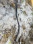 Wet Sand, Brown Sand, texture background with dried sticks, leaves and dry things on beach