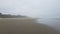 Wet sand and water and beach in Newport, Oregon