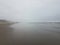 Wet sand and water and beach in Newport, Oregon