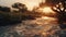 Wet Scenery At Sunset: Photorealistic Images With Graflex Speed Graphic And Canon Ae-1