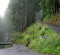 Wet shiny road in Swiss Alps in mist cold summer morning