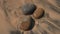 Wet smooth rocks lying on the beach getting washed over