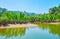 Wet soil of mangrove forests, Kangy river, Myanmar