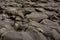 Wet stones of Kilve beach on a cloudy rainy day, coast of England