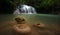 Wet stones in river stream in wild rainforest with waterfall