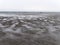 Wet wavy sand on the seashore at low tide on a cloudy day. Gloomy seaside landscape. The harsh nature of the north of Europe. The