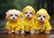 Wet and Wild: Three Adorable Dogs Brave the Monsoon in Yellow Ra