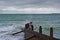 Wet and windy day at the West Wittering beach