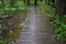 Wet wood boardwalk in flooded forest with trees