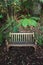 Wet wooden bench in rain forest