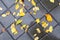 Wet yellow autumn leaves on cobblestone pavement