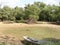 The wetland with all its beauty rotten trees old boats and pelzzam full of green plants