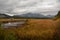 Wetland Area Near Lake Tahoe