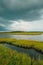 Wetland at Assateague Island National Seashore, Maryland