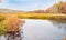 Wetland calm pond surrounded by golden vegetation and brilliant colors of fall foliage forest