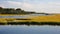 the wetland in Chincoteague National Wildlife Refuge, Assateague Island National Seashore, Chincoteague, Virginia