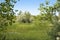 Wetland on the Colorado Prairie