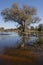 Wetland Habitat - Botswana