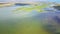 Wetland habitat in the Danube Delta