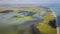Wetland habitat in the Danube Delta , Romania