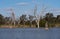 Wetland habitat at Warren in outback New South Wales