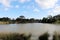 Wetland inside Gateway Sanctuary in Geelong city, Melbourne, Australia (pix SShukla)