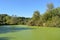 Wetland Landscape