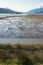 Wetland landscape. Montenegro, Tivat Salina Tivatska Solila . Halophytic vegetation