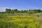 Wetland Landscape of South West Scotland