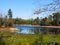 Wetland marsh biodiverse habitat in Adirondacks