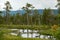 Wetland, mire landscape in FulufjÃ¤llets National park, Sweden