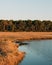 A wetland near Bodie Island Lighthouse, in the Outer Banks, North Carolina