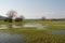 Wetland Near Planina