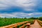 Wetland Park Wooden Walkway. The Long Wooden Bridge Above the Water. Amazing Nature