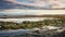 wetland salt marsh landscape