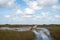 Wetland scenery in Everglades, Florida