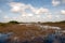 Wetland scenery in Everglades, Florida