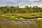 Wetland Scenery near Emerald Isle, North Carolina