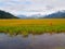 Wetland surrounded by distant snow covered mountains Alaska.