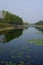 Wetland by the Taihu Lake