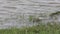 Wetlands in agriculture after heavy rain in the spring. Russia.