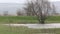 Wetlands in agriculture after heavy rain in the spring. Russia.