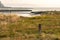 wetlands along the coastline of hood canal