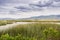 Wetlands in Alviso Marsh, Don Edwards wildlife refuge, south San Francisco bay, California